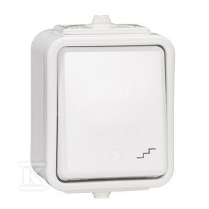 WNT-600C ŁĄCZ.SCHODOWY IP44 CEDAR BIA?