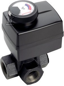 ZESTAW 3DR DN25 CORONA ,SIŁOWNIK M6063L