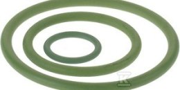 O-RING FPM/VITON STEEL 66,7
