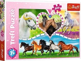 Puzzle 200 elementów - piękne konie