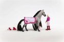 Zestaw startowy figurki sofia i dusty