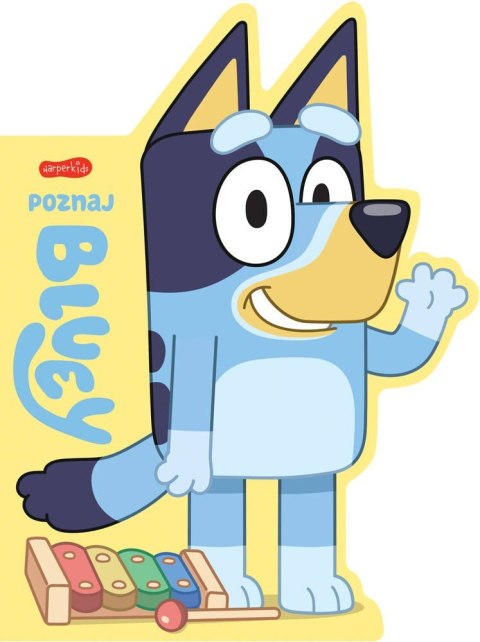 Książeczka poznaj bluey książeczki kartonowe Książeczka poznaj bluey książeczki kartonowe