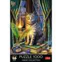 Puzzle 1000 elementów premium księga cieni lisa parker
