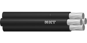 ASXSN 4X50 1KV BĘBEN