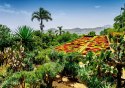 Puzzle 1000 elementów ogród botaniczny madera portugalia