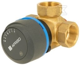 ARV384 VARIO PROCLICK DN25, RP1