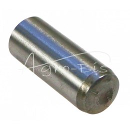 Kołek walcowy 10n6x26 DIN6325